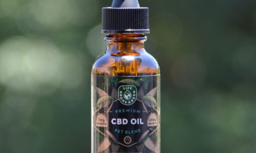 Dog-Friendly Cbd Oil: Promoting Canine Wellness Naturally