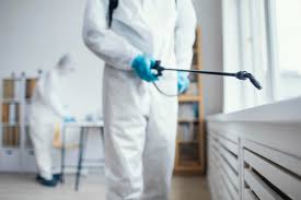 Comprehensive Guide to Top Pest Control Services