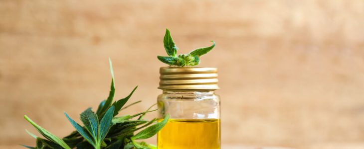 Cannabis Seo Guide: Boost Your Online Presence