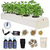 Easy Hydroponic Detox Kits: Cleanse Your Plants Simply