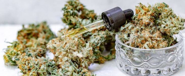 Easily Discover Top Online Thca Products