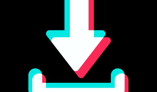 Discover The Best Snaptik Review: Is It Worth Your Time?