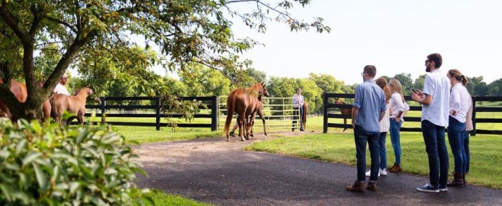 How To Tour Lexington, Ky