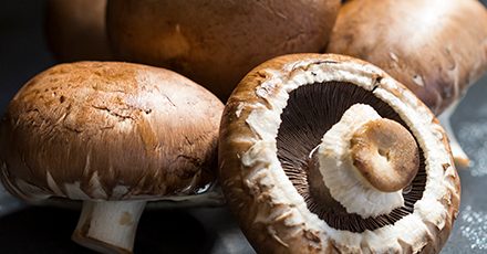 Top Tips For Buying Mushrooms Online – Ultimate Guide